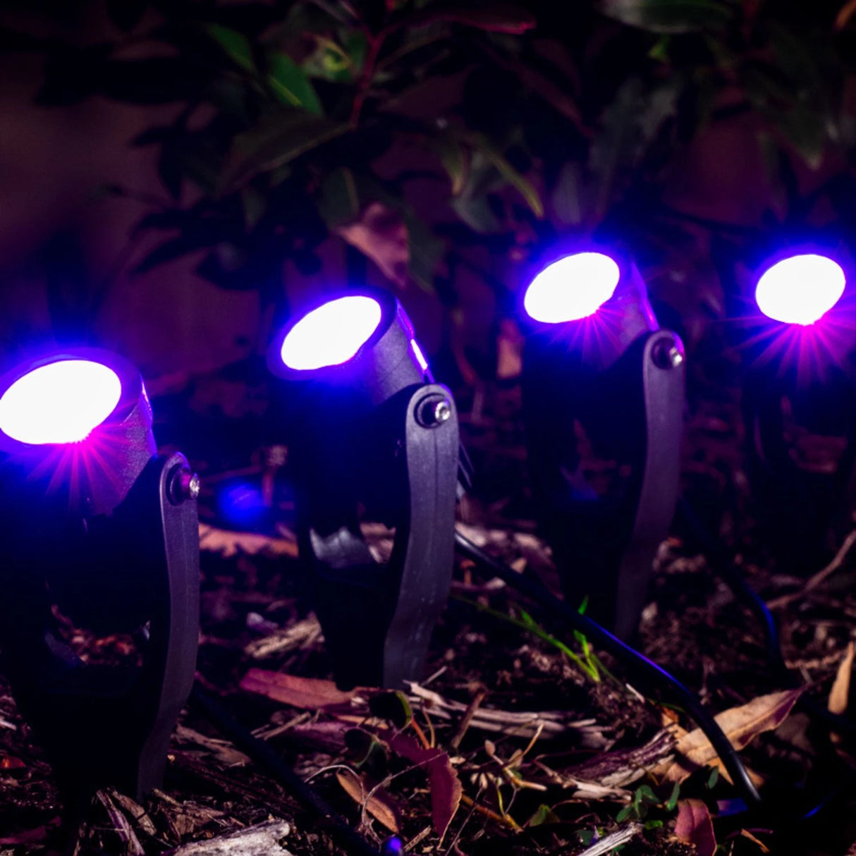 Holman 43mm RGB Colour Spotlight Value Pack