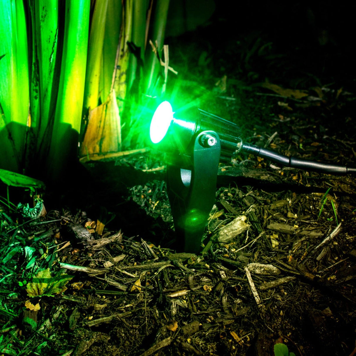 Holman 43mm RGB Colour Spotlight – 3W LED