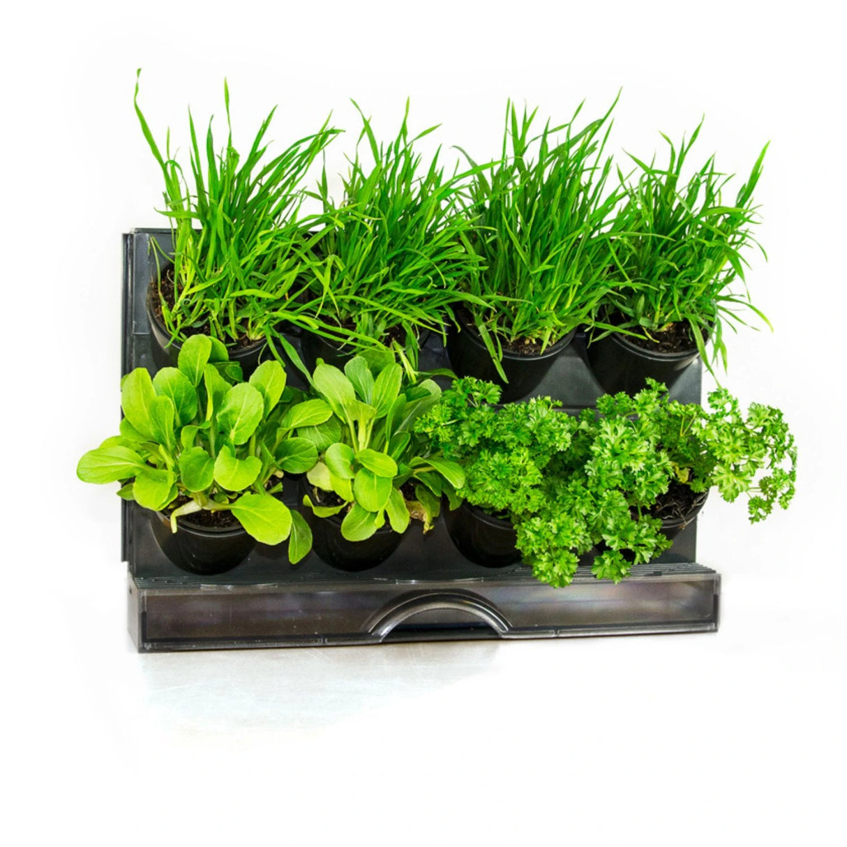 Holman Freestanding Benchtop GreenWall® with Integrated Watering