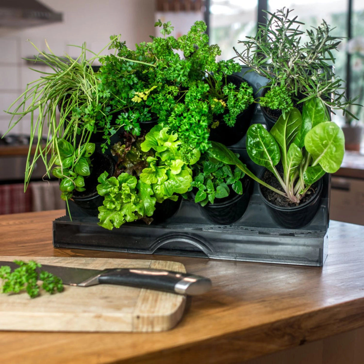 Holman Freestanding Benchtop GreenWall® with Integrated Watering
