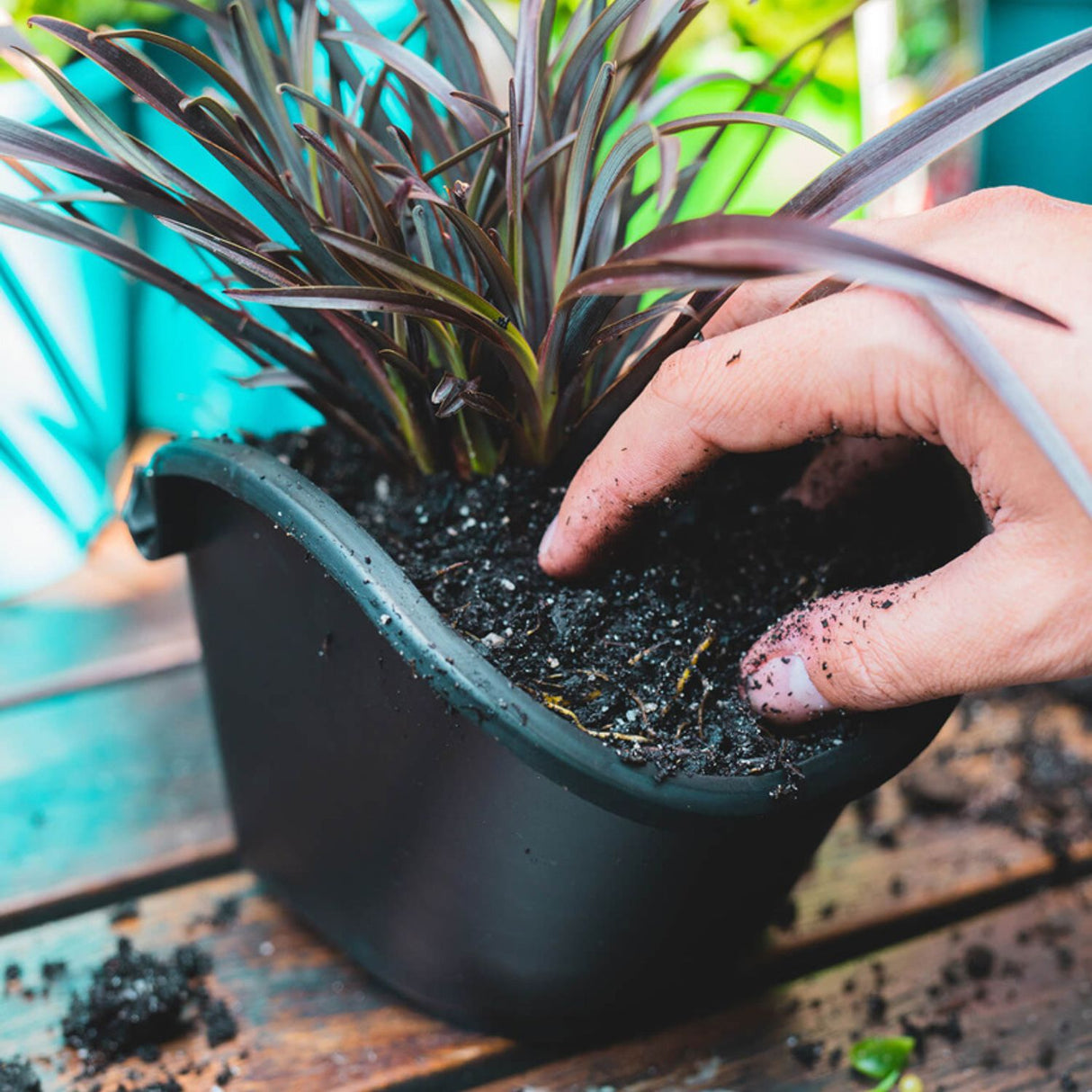 Holman GreenWall Swap-A-Pot Kit – 4 Pack