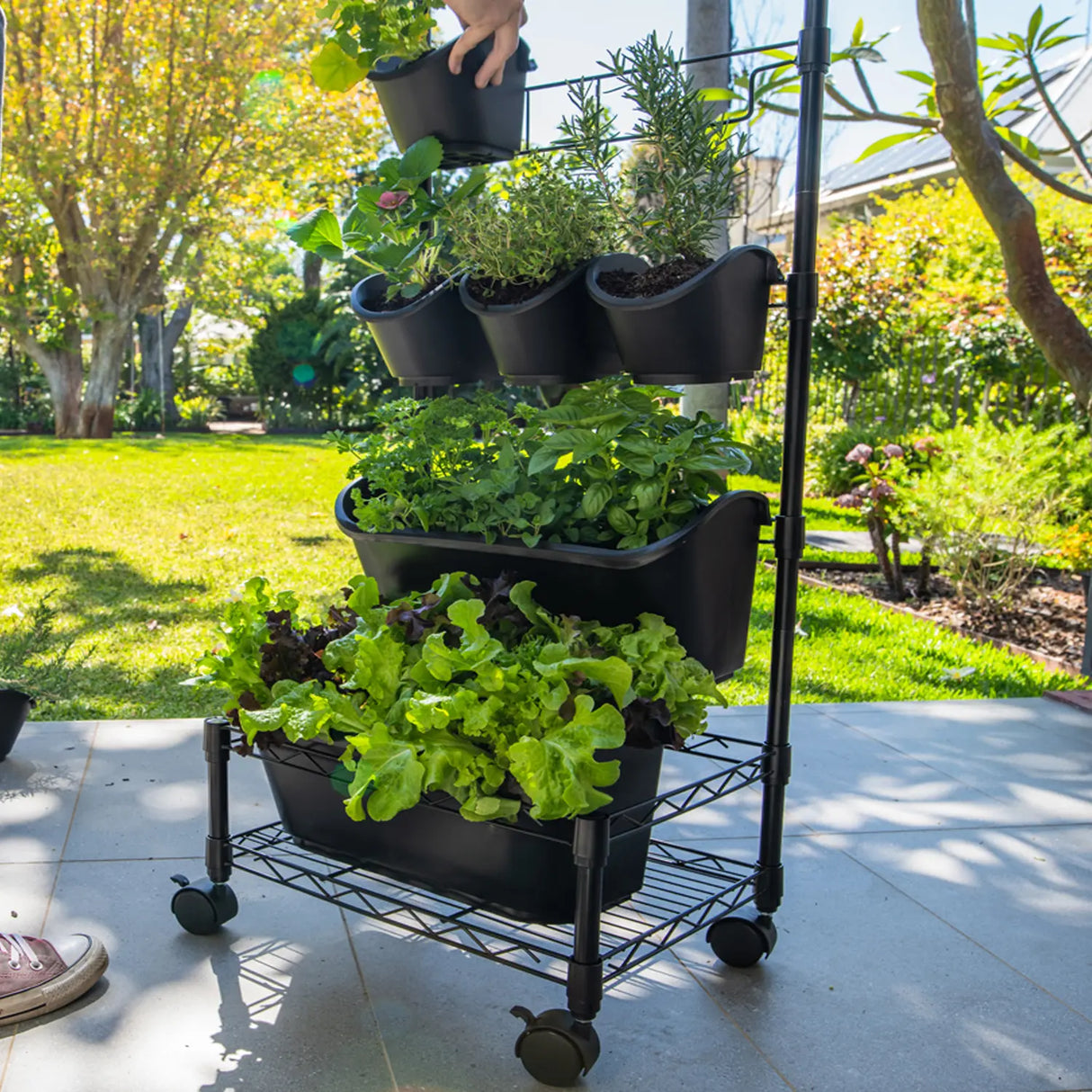 Holman Mobile GreenWall™ Kit – Vertical Garden on Wheels with Irrigation (GW0005)