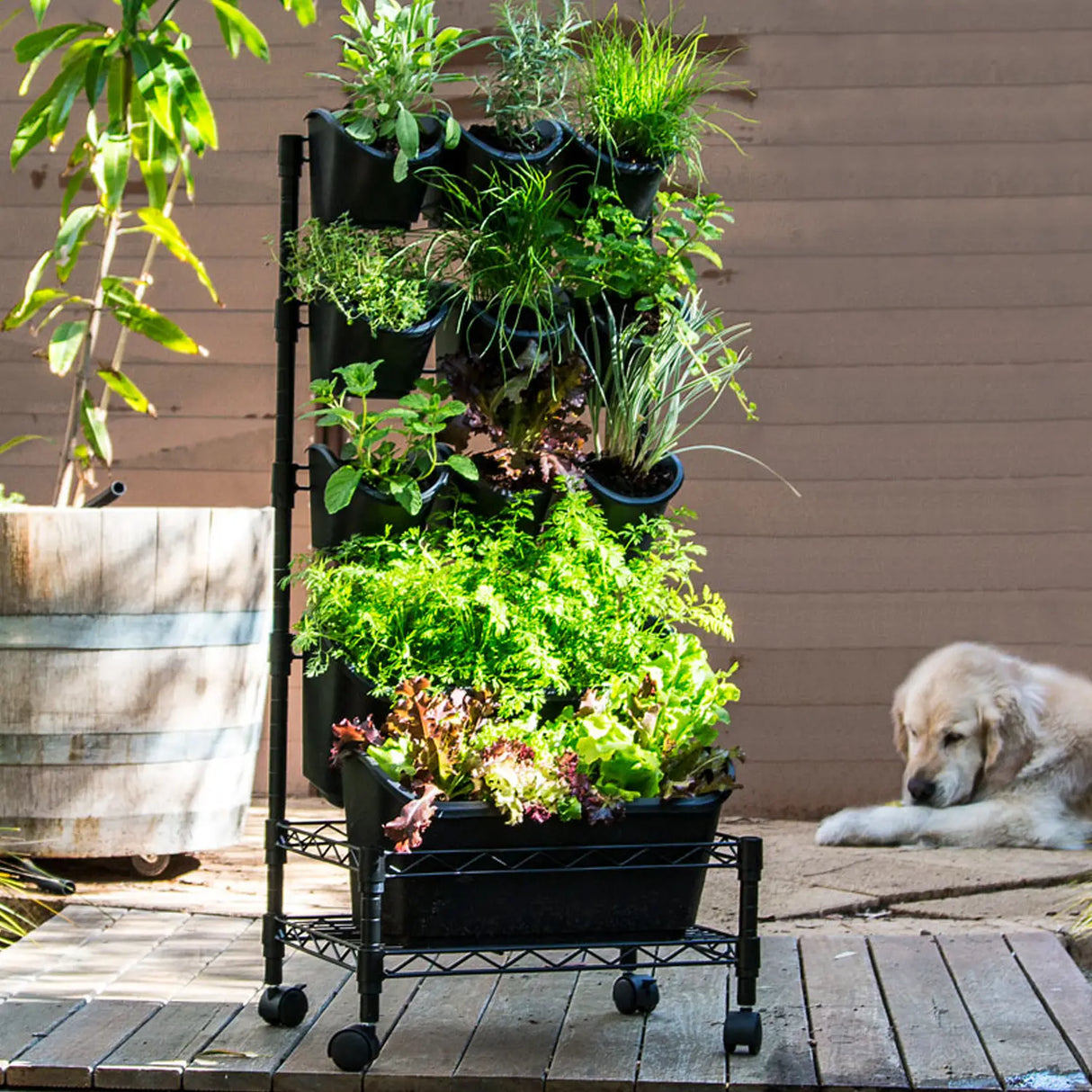 Holman Mobile GreenWall™ Kit – Vertical Garden on Wheels with Irrigation (GW0005)