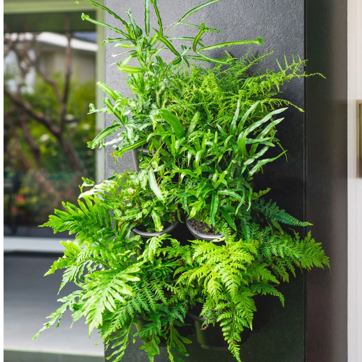 Holman GreenWall® Slim Vertical Planting Kit