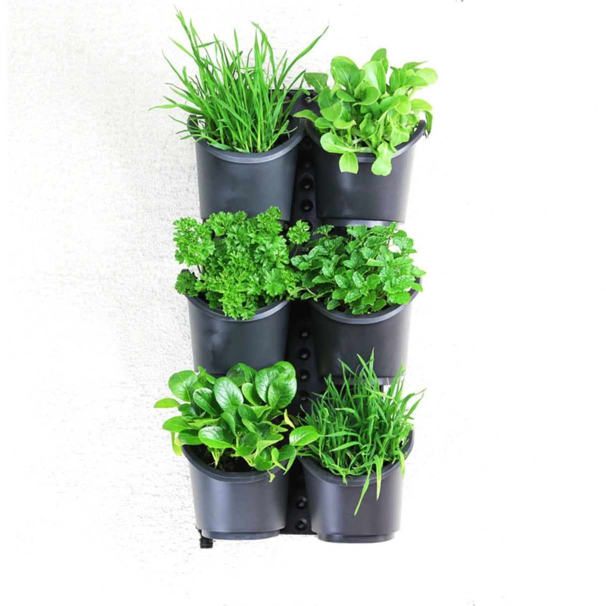 Holman GreenWall® Slim Vertical Planting Kit