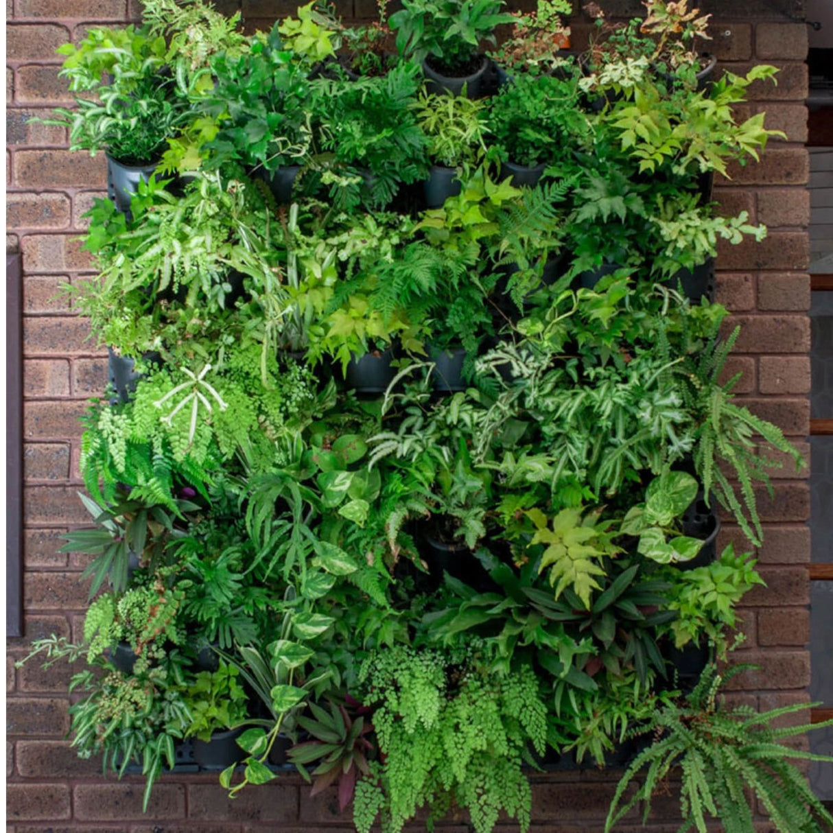 Holman GreenWall Vertical Planting Kit