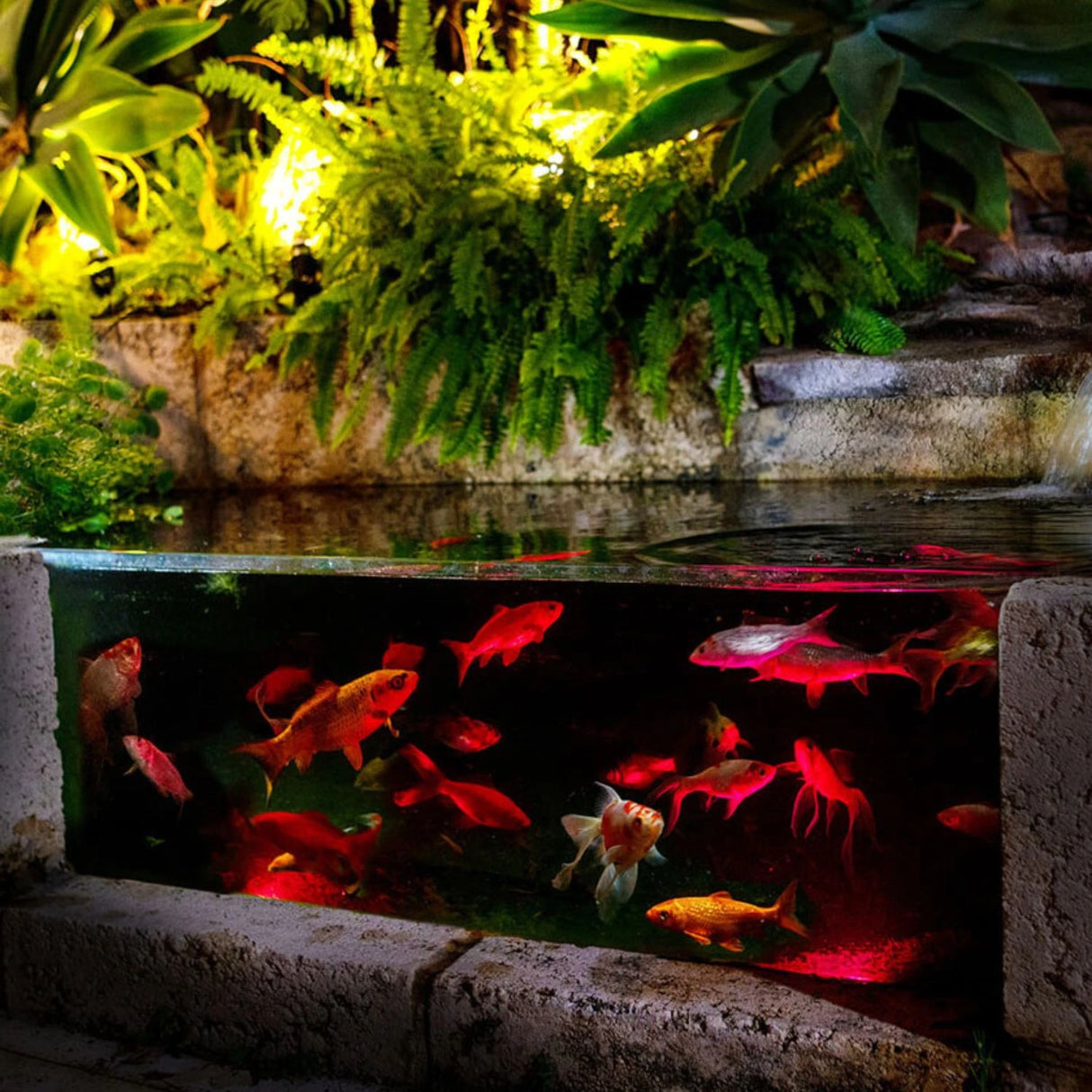 Holman RGB Colour Pond Light Kit – 3× 0.5W Submersible Lights