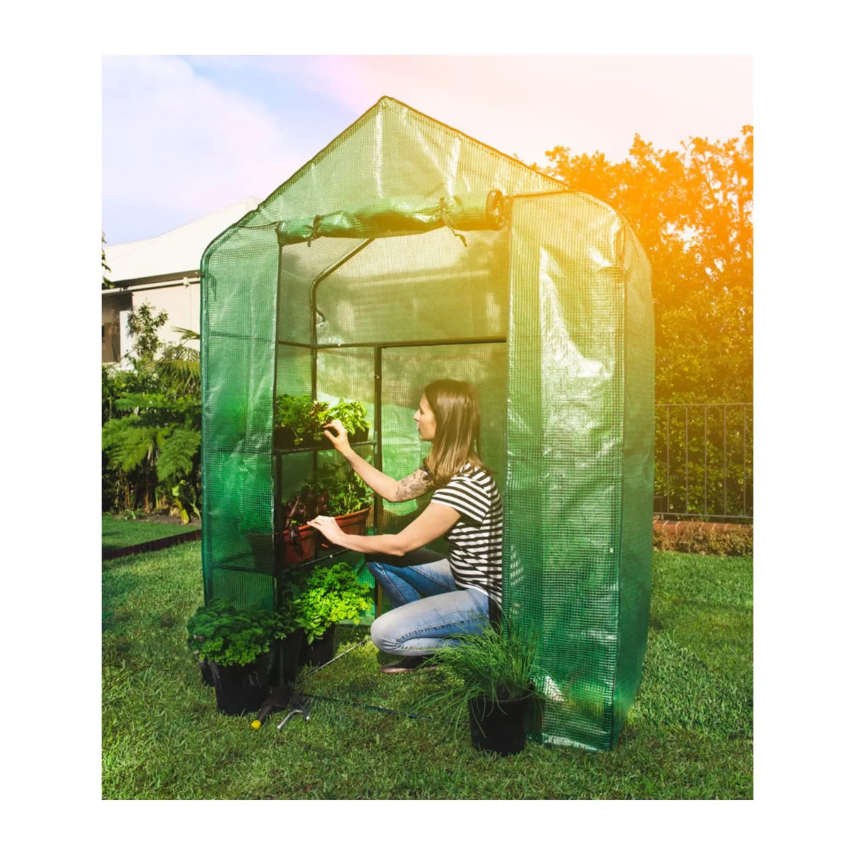 Walk-In Greenhouse Kit with Irrigation System