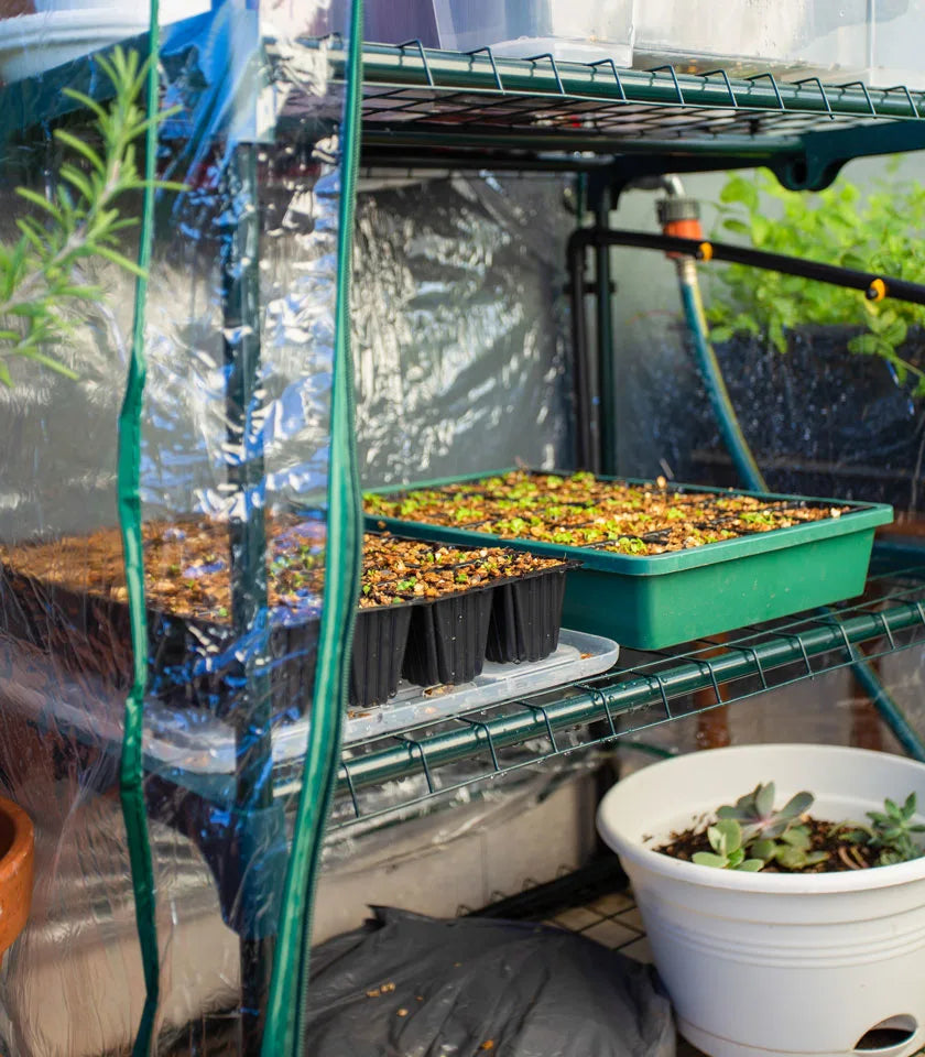 Holman 4 Tier Greenhouse with Misting Kit