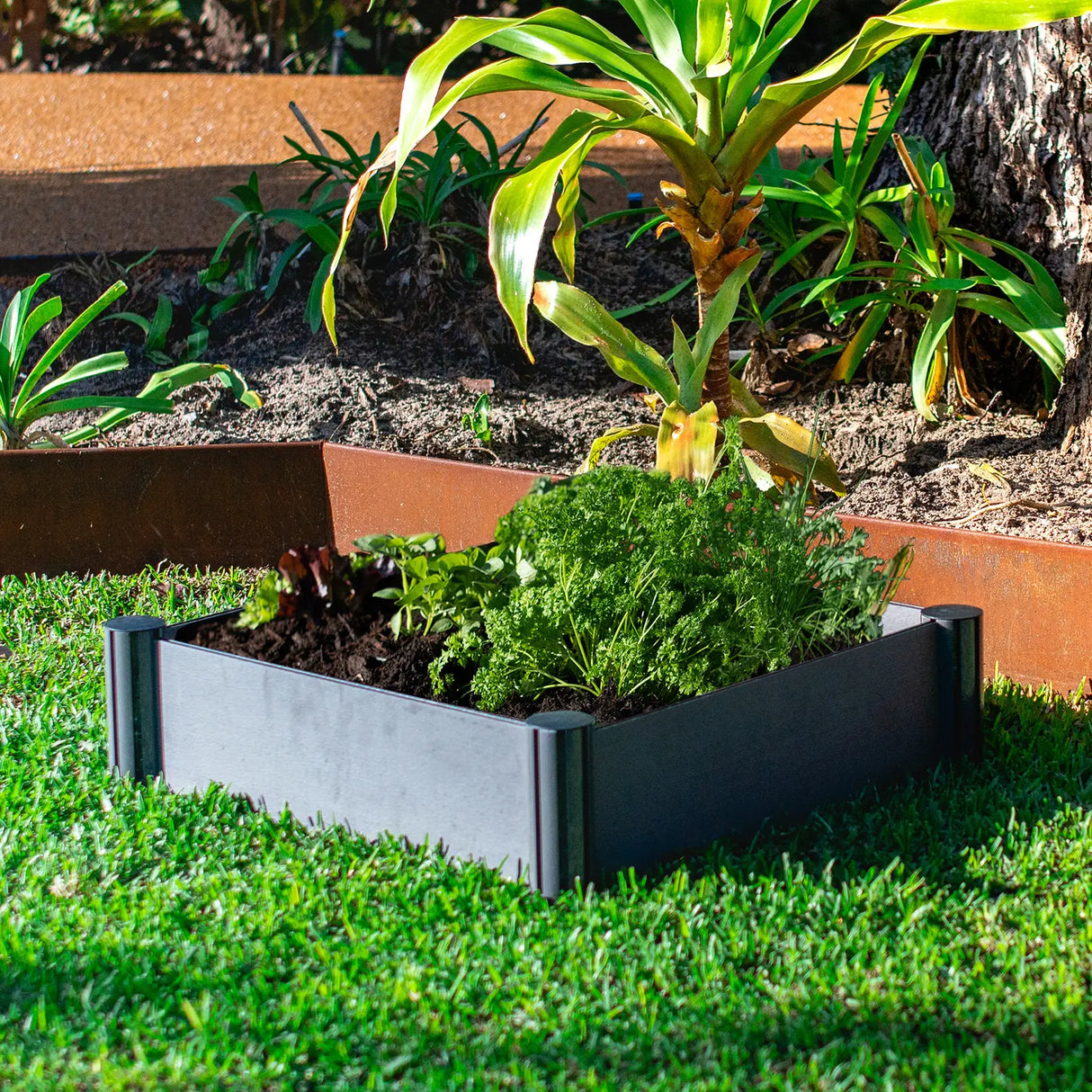 Holman Raised Garden Bed RGB1505 – 500×500×150 mm Modular Bed with Irrigation Kit