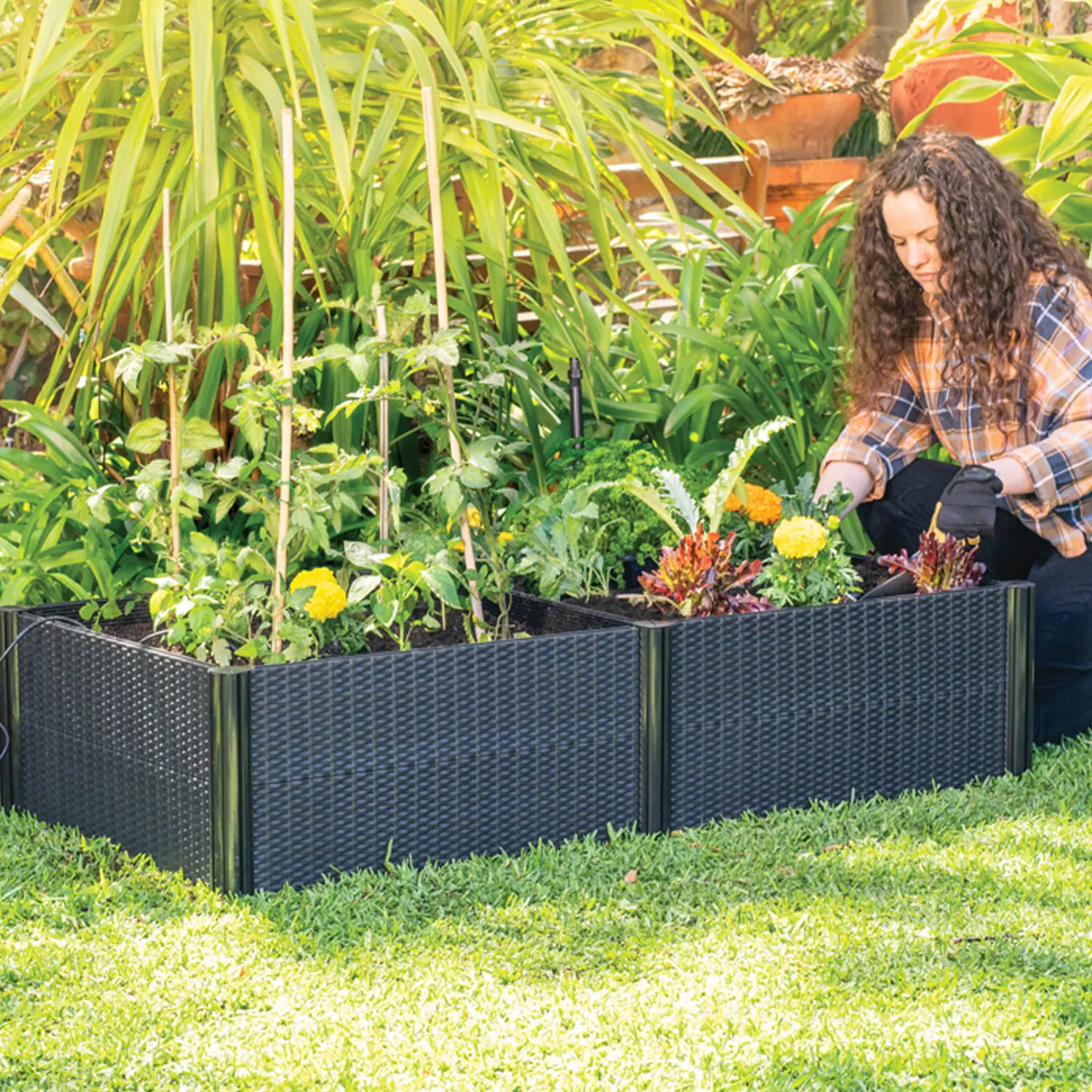 Holman Raised Garden Bed RGB1505 – 500×500×150 mm Modular Bed with Irrigation Kit